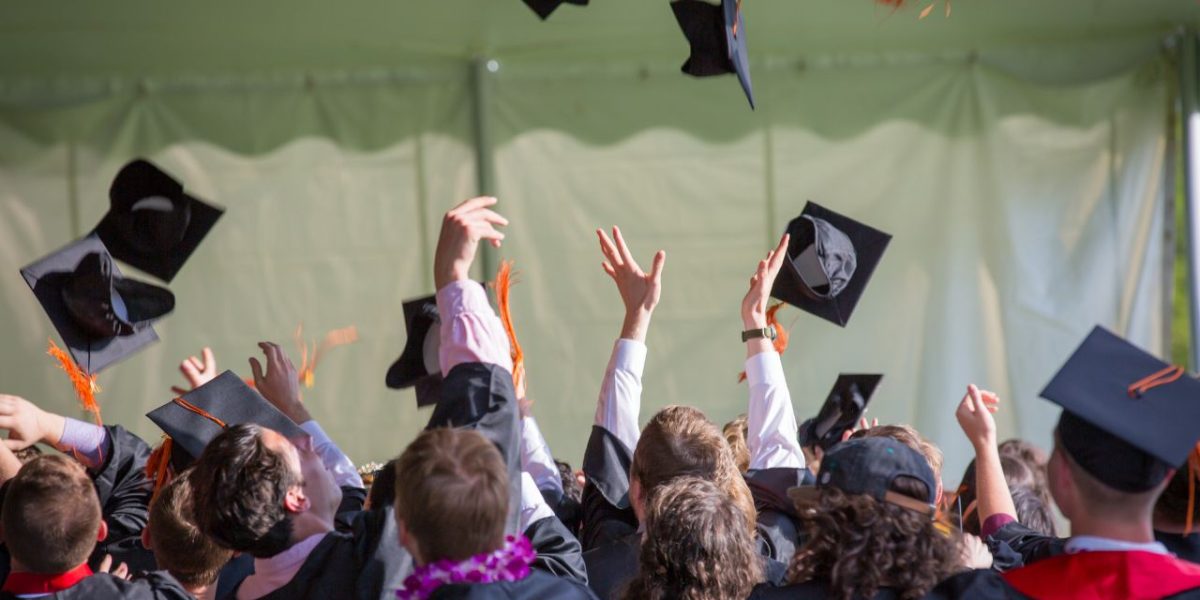 Degree or Skills — What Matters More