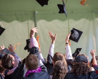 Degree or Skills — What Matters More