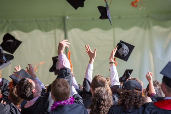 Degree or Skills — What Matters More