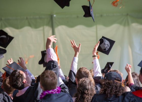Degree or Skills — What Matters More