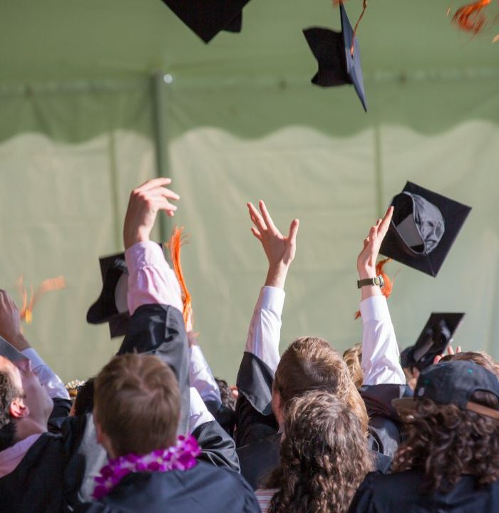 Degree or Skills — What Matters More