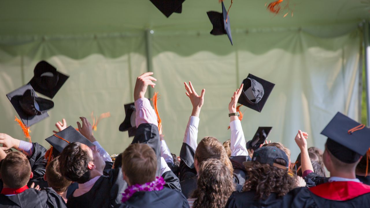 Degree or Skills — What Matters More?