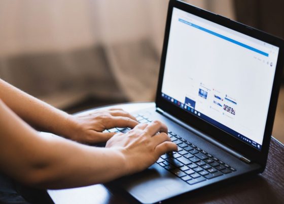 Organic search engine trends in 2025
